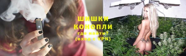 стаф Богданович