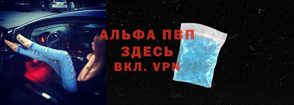 стаф Богданович