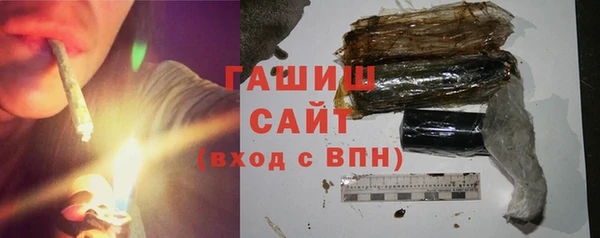 стаф Богданович