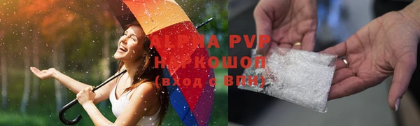 стаф Богданович