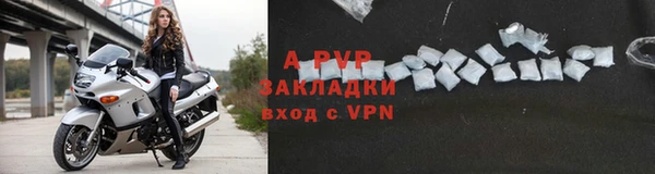 стаф Богданович