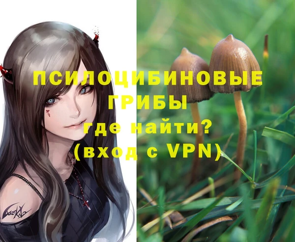 марки lsd Богородск