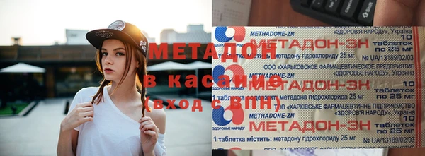 стаф Богданович