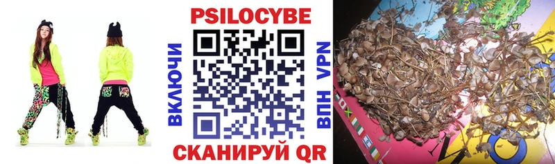 цена   Верея  Псилоцибиновые грибы Psilocybine cubensis 