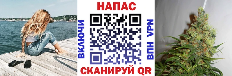 Шишки марихуана SATIVA & INDICA  купить  цена  Верея 